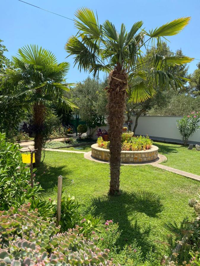 Villa Chiara Vodice Eksteriør billede