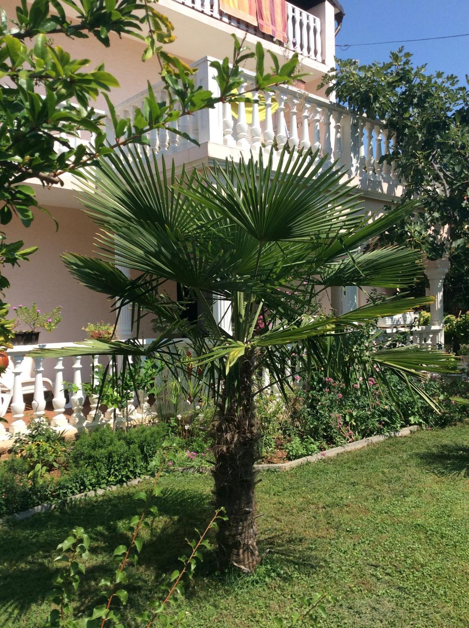 Villa Chiara Vodice Eksteriør billede