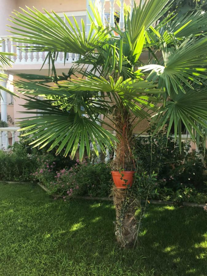 Villa Chiara Vodice Eksteriør billede